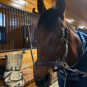 Meet your Posher, Summer